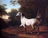 A Grey Arab Stallion In A Wooded Landscape by Jacques Laurent Agasse